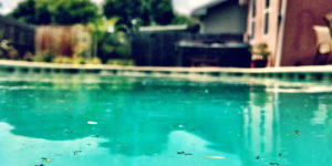 pool maintenance